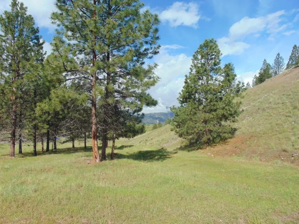 27235 Lazy Springs Road Clinton MT 59825