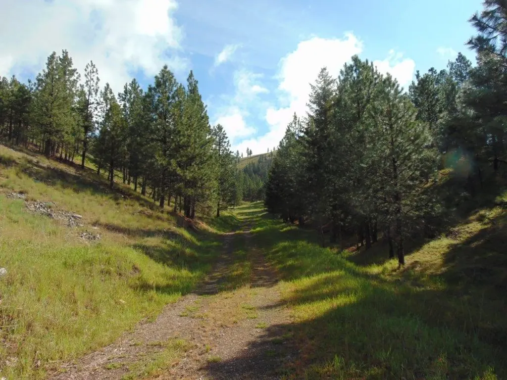 27235 Lazy Springs Road Clinton MT 59825