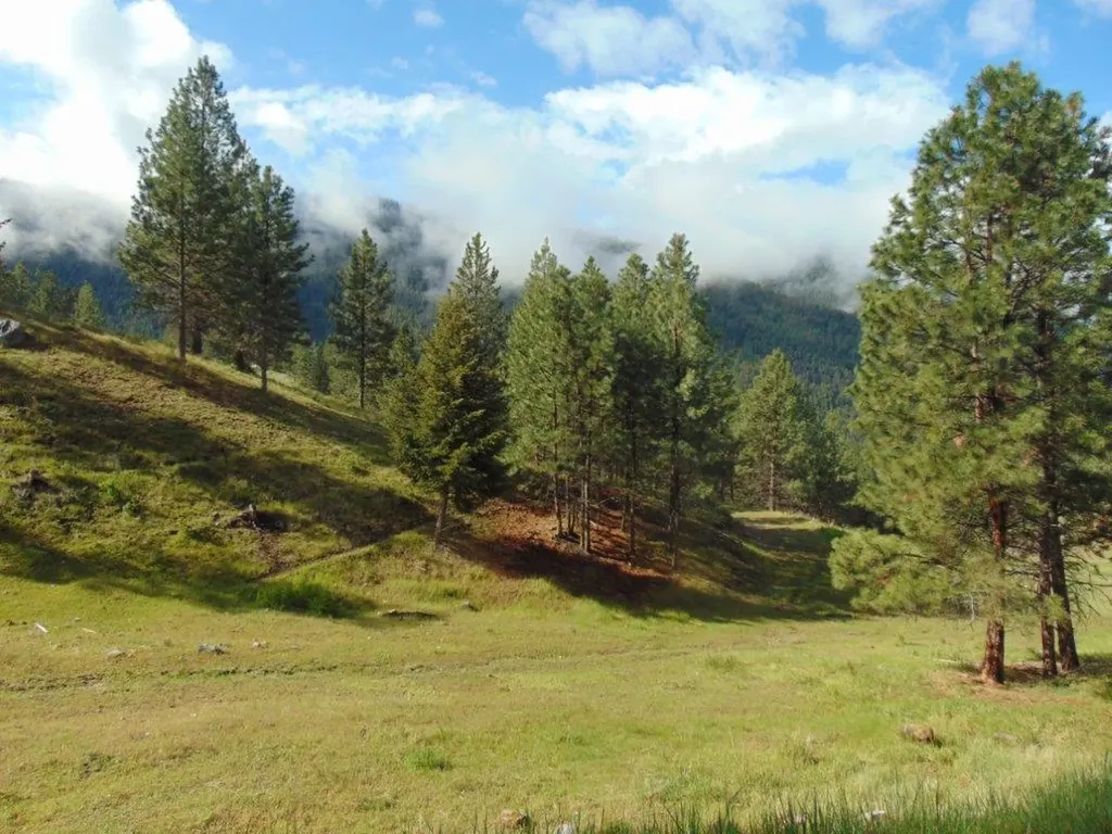 27235 Lazy Springs Road Clinton MT 59825