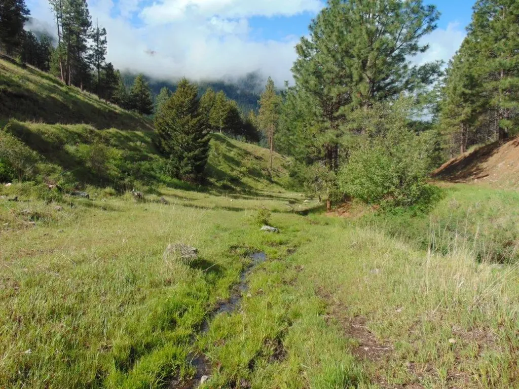 27235 Lazy Springs Road Clinton MT 59825