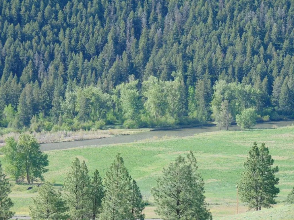 27235 Lazy Springs Road Clinton MT 59825