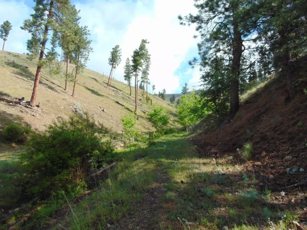 27235 Lazy Springs Road Clinton MT 59825