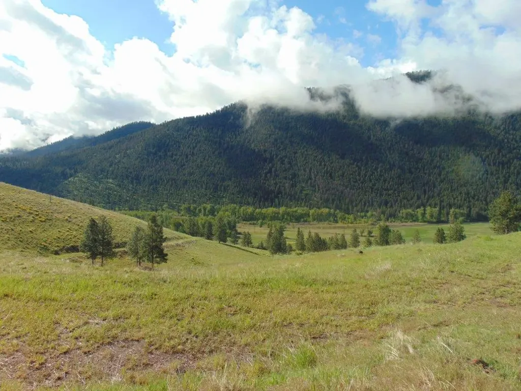 27235 Lazy Springs Road Clinton MT 59825