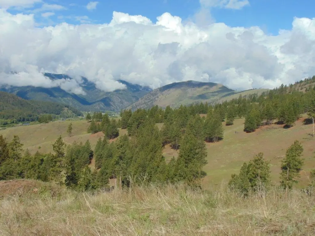 27235 Lazy Springs Road Clinton MT 59825