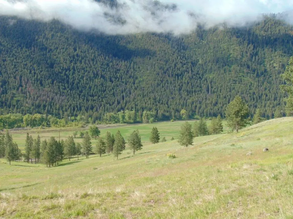 27235 Lazy Springs Road Clinton MT 59825