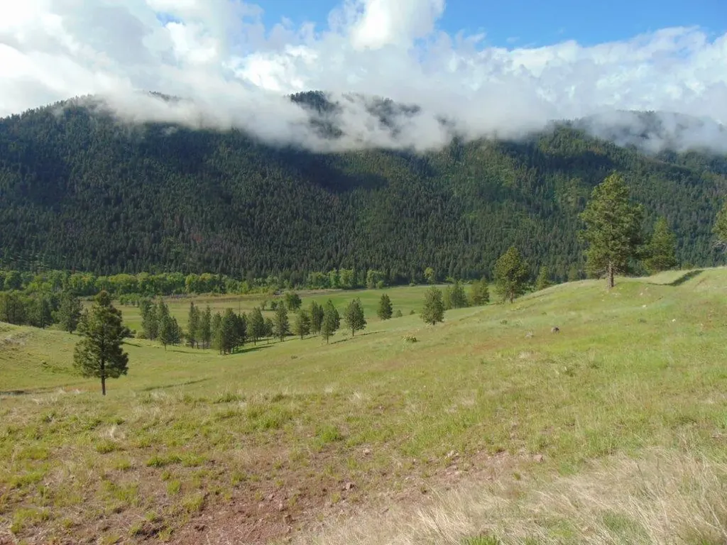 27235 Lazy Springs Road Clinton MT 59825