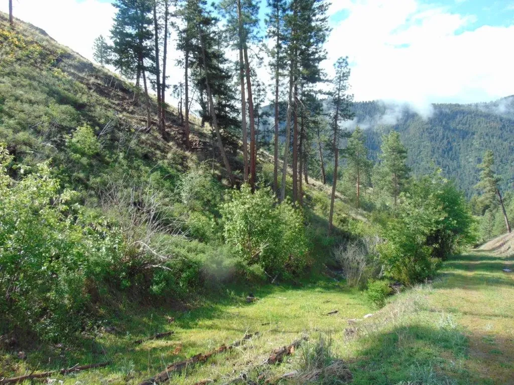 27235 Lazy Springs Road Clinton MT 59825