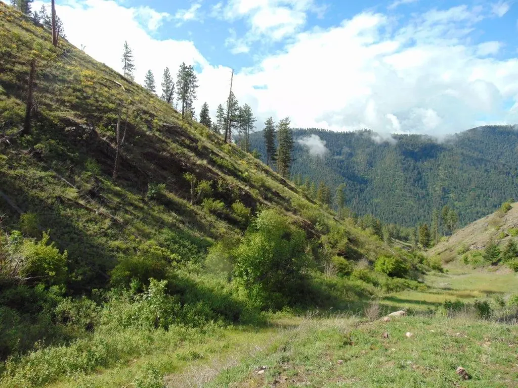 27235 Lazy Springs Road Clinton MT 59825
