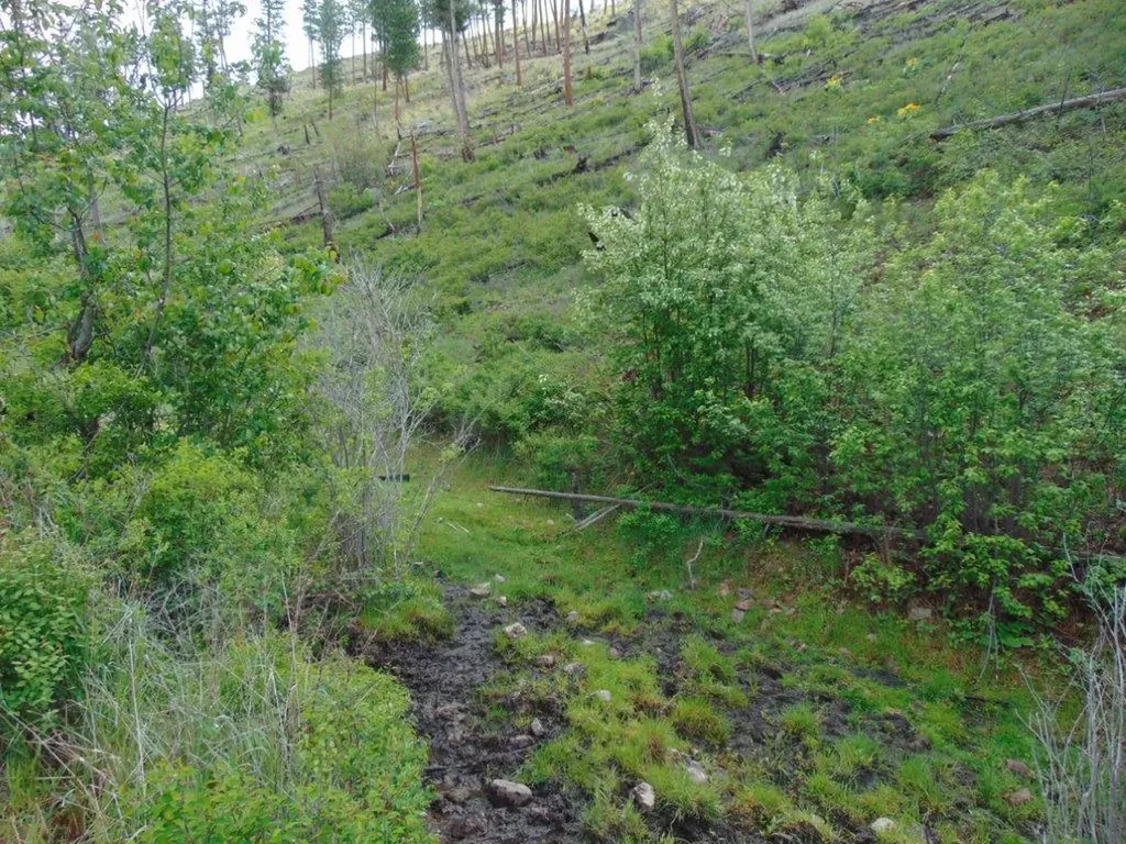 27235 Lazy Springs Road Clinton MT 59825