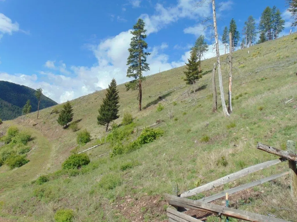 27235 Lazy Springs Road Clinton MT 59825