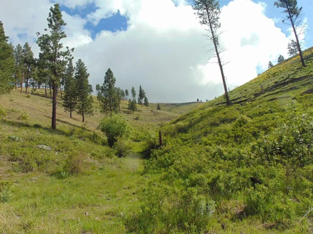27235 Lazy Springs Road Clinton MT 59825