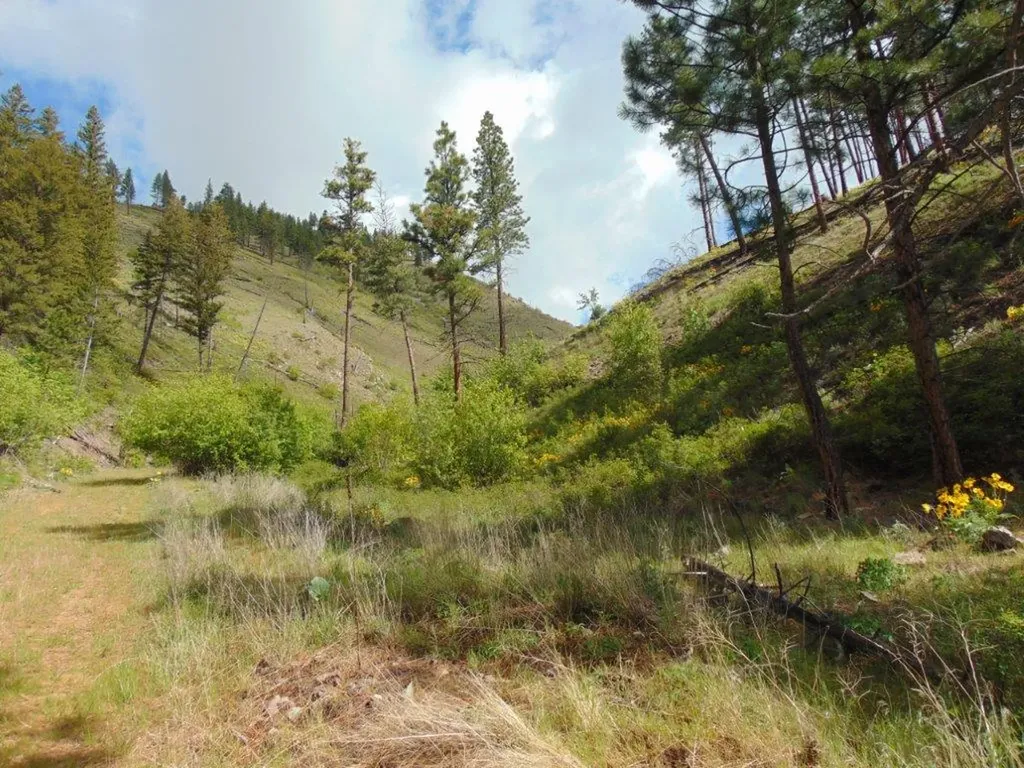 27235 Lazy Springs Road Clinton MT 59825