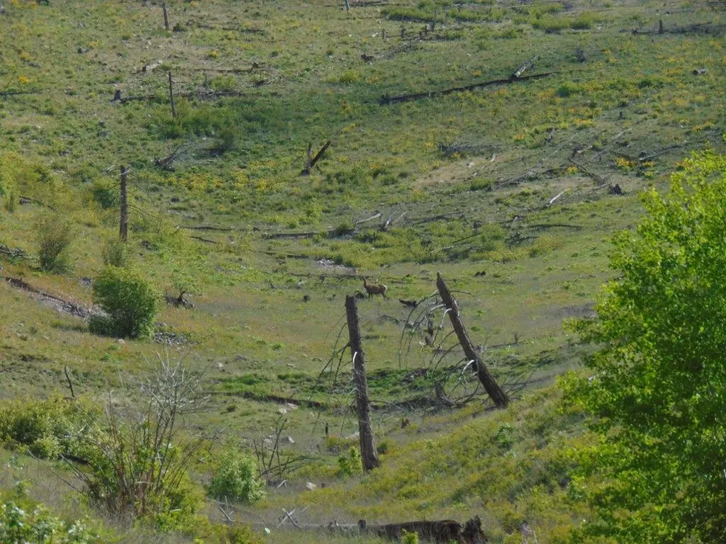 27235 Lazy Springs Road Clinton MT 59825
