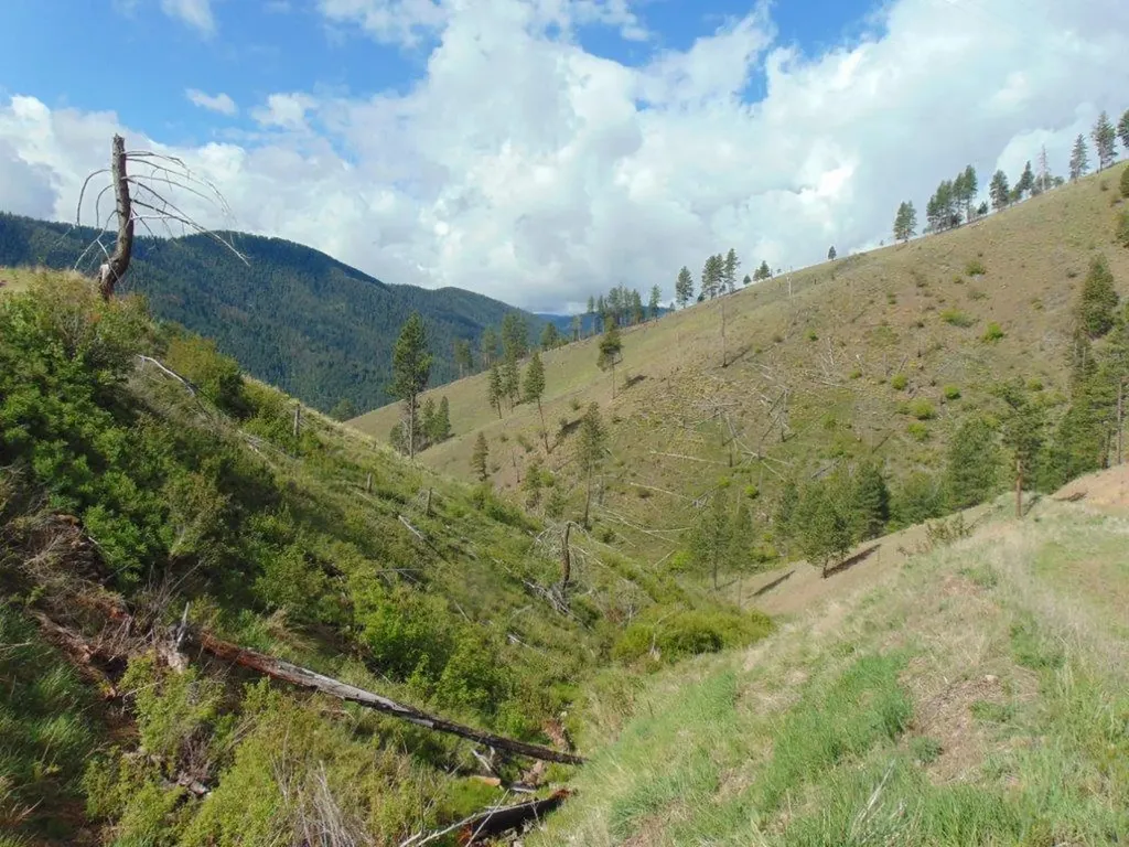27235 Lazy Springs Road Clinton MT 59825