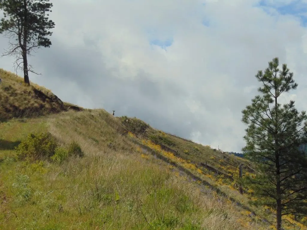 27235 Lazy Springs Road Clinton MT 59825