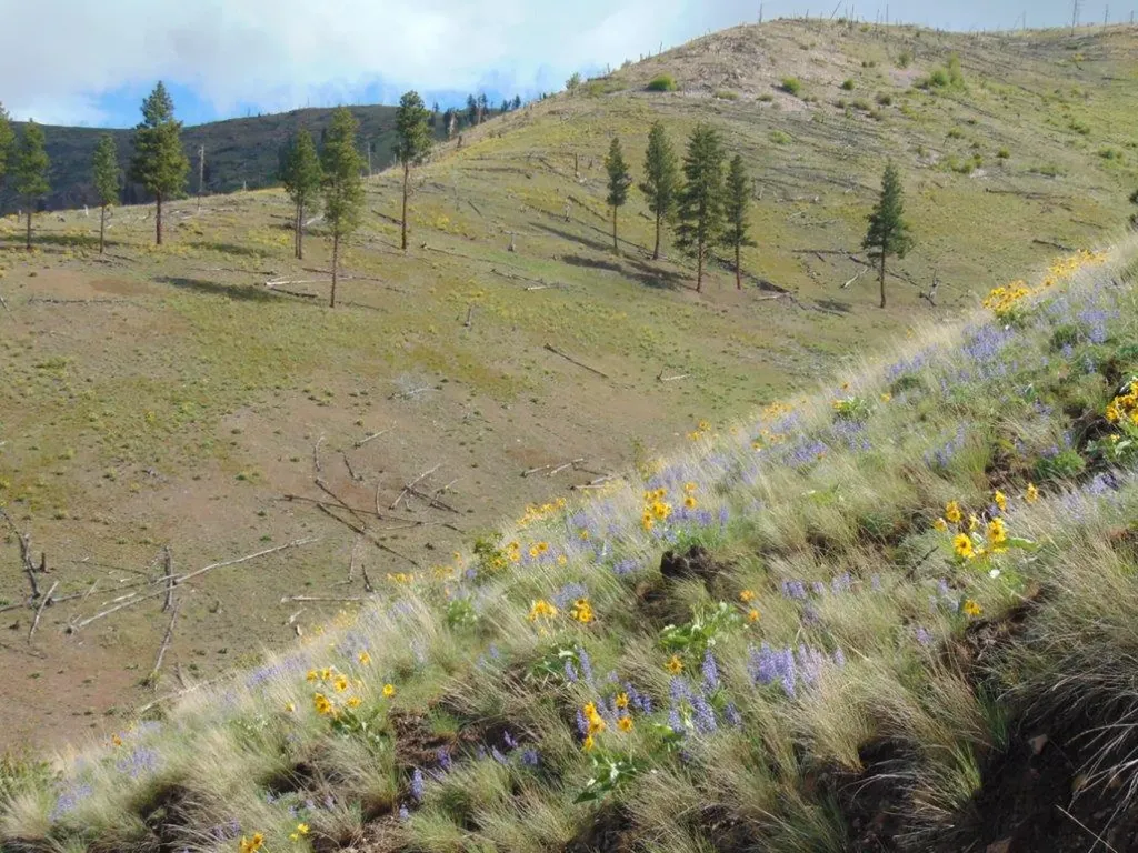 27235 Lazy Springs Road Clinton MT 59825