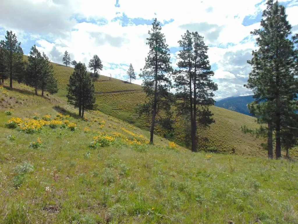 27235 Lazy Springs Road Clinton MT 59825