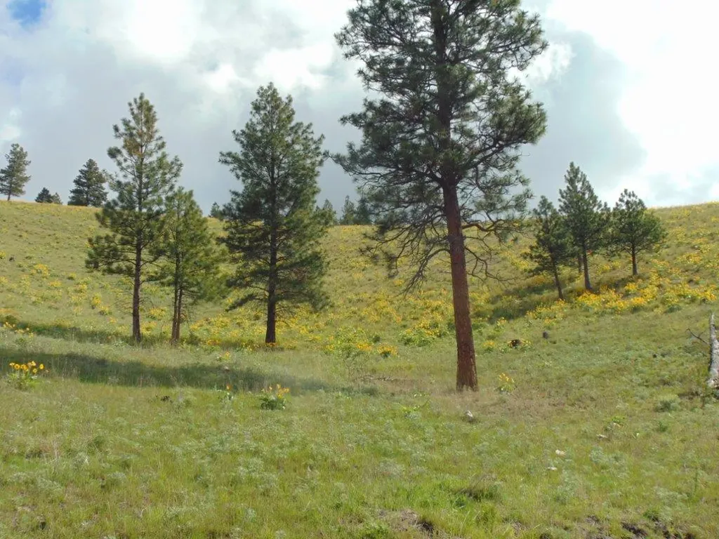 27235 Lazy Springs Road Clinton MT 59825