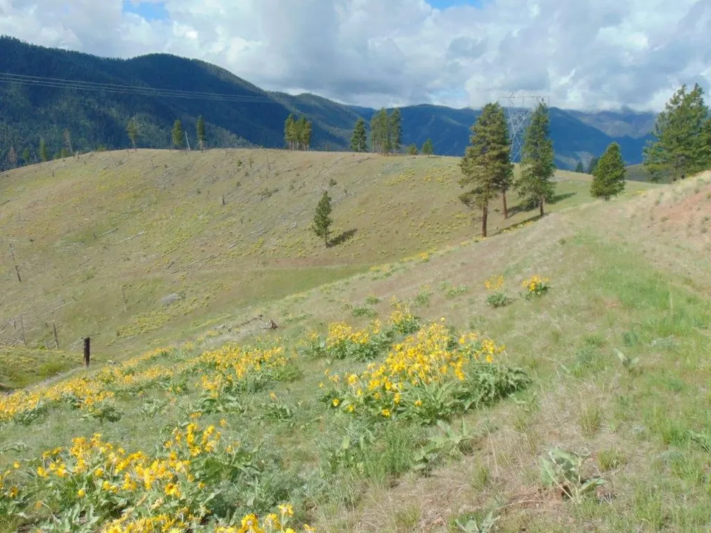 27235 Lazy Springs Road Clinton MT 59825
