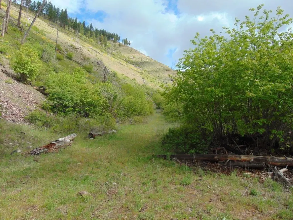 27235 Lazy Springs Road Clinton MT 59825