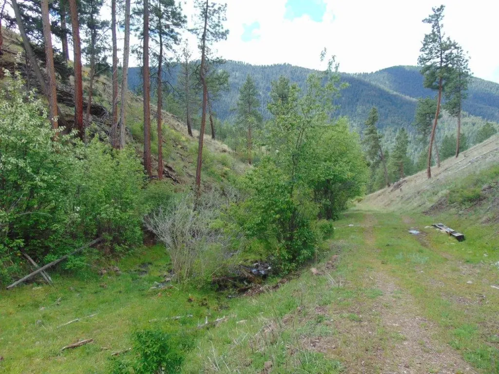 27235 Lazy Springs Road Clinton MT 59825