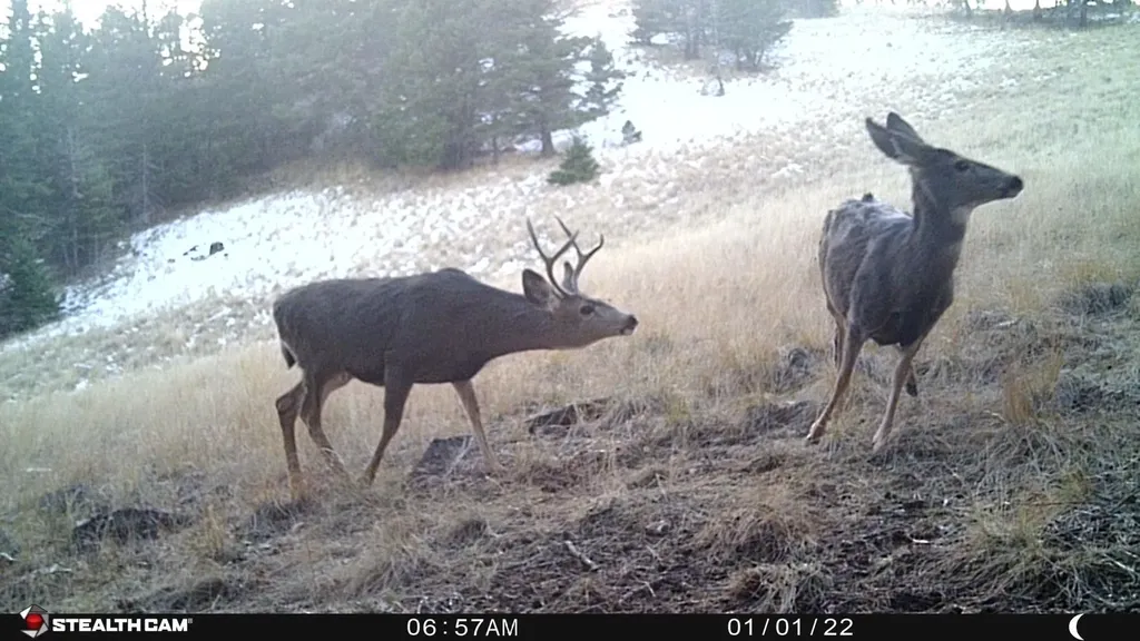 Nhn Outer Loop Road Cascade MT 59421