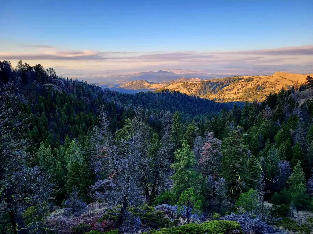 Nhn Outer Loop Road Cascade MT 59421