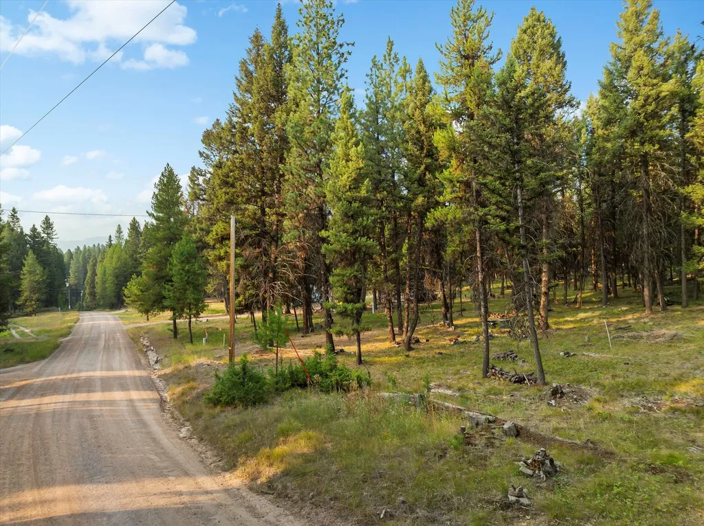 264 Evergreen Drive Seeley Lake MT 59868