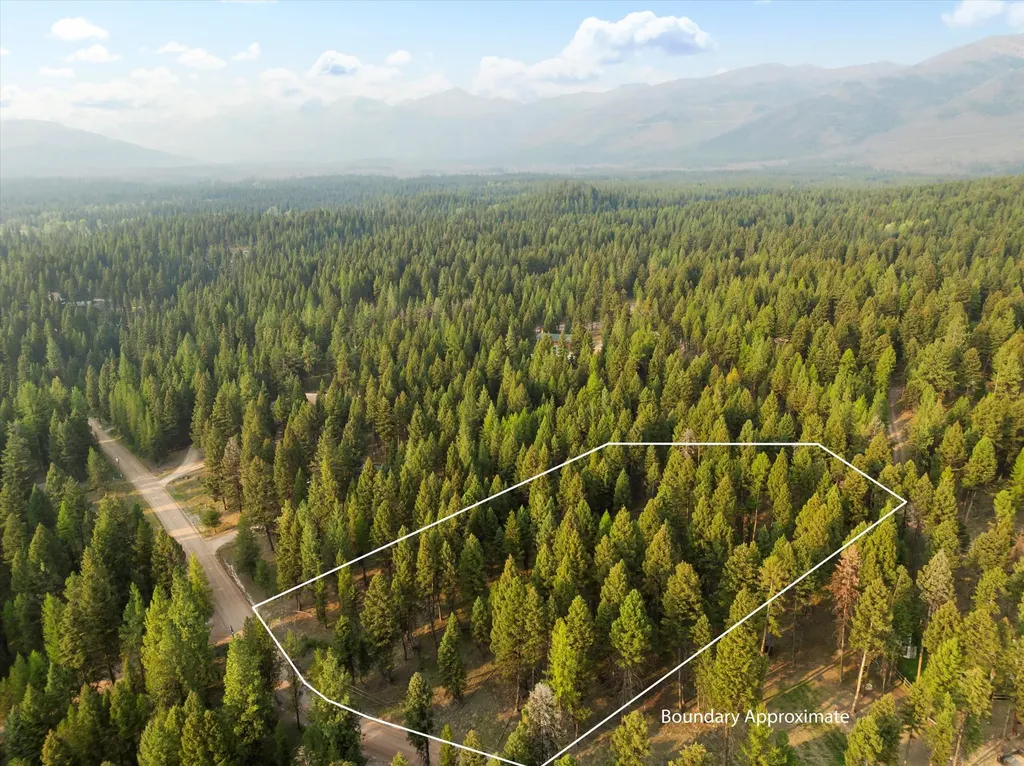 264 Evergreen Drive Seeley Lake MT 59868