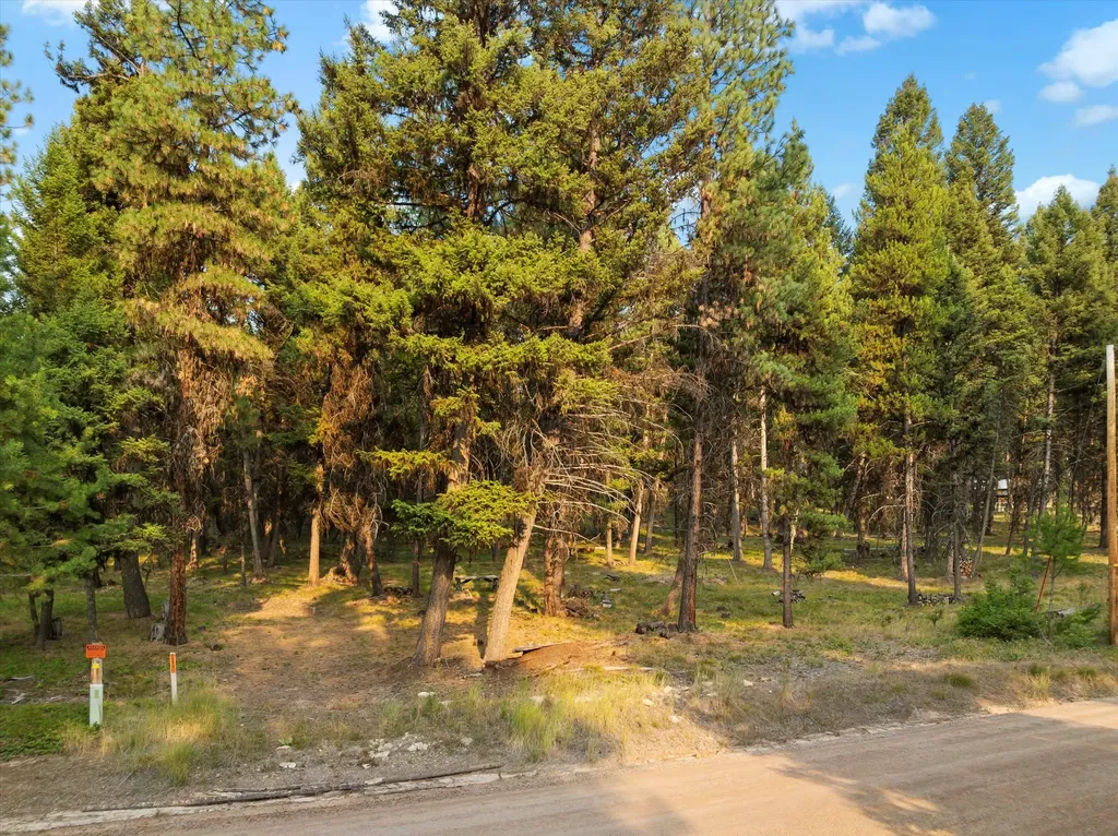 264 Evergreen Drive Seeley Lake MT 59868