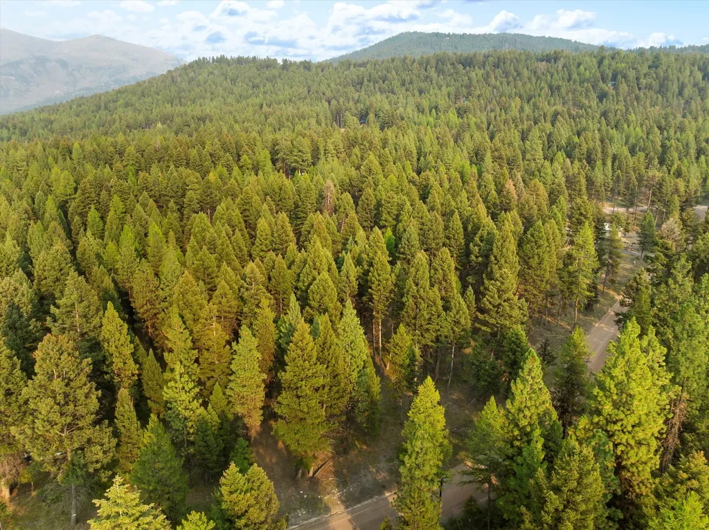 264 Evergreen Drive Seeley Lake MT 59868