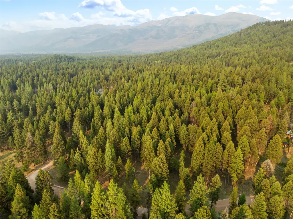 264 Evergreen Drive Seeley Lake MT 59868