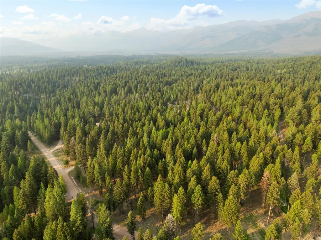 264 Evergreen Drive Seeley Lake MT 59868