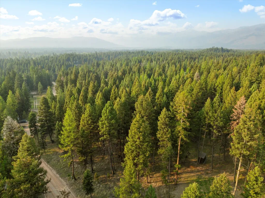 264 Evergreen Drive Seeley Lake MT 59868