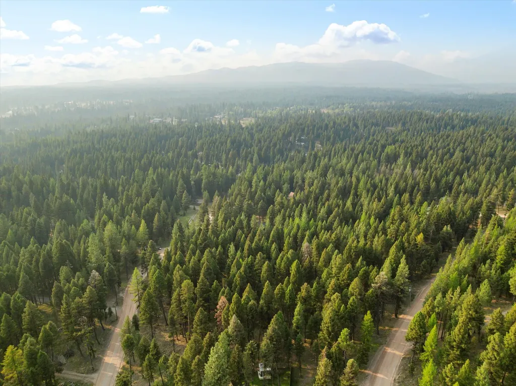 264 Evergreen Drive Seeley Lake MT 59868