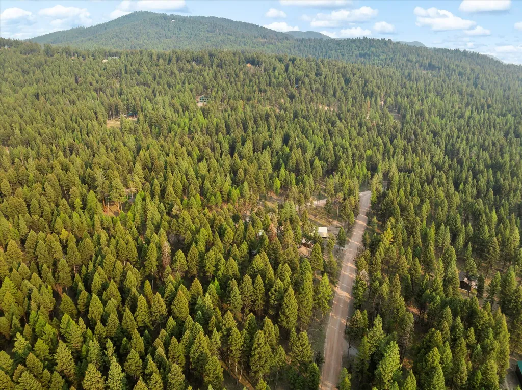 264 Evergreen Drive Seeley Lake MT 59868