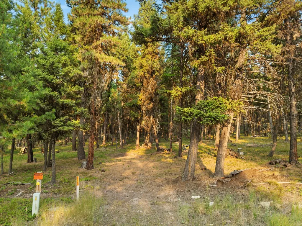 264 Evergreen Drive Seeley Lake MT 59868