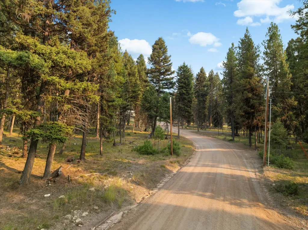 264 Evergreen Drive Seeley Lake MT 59868