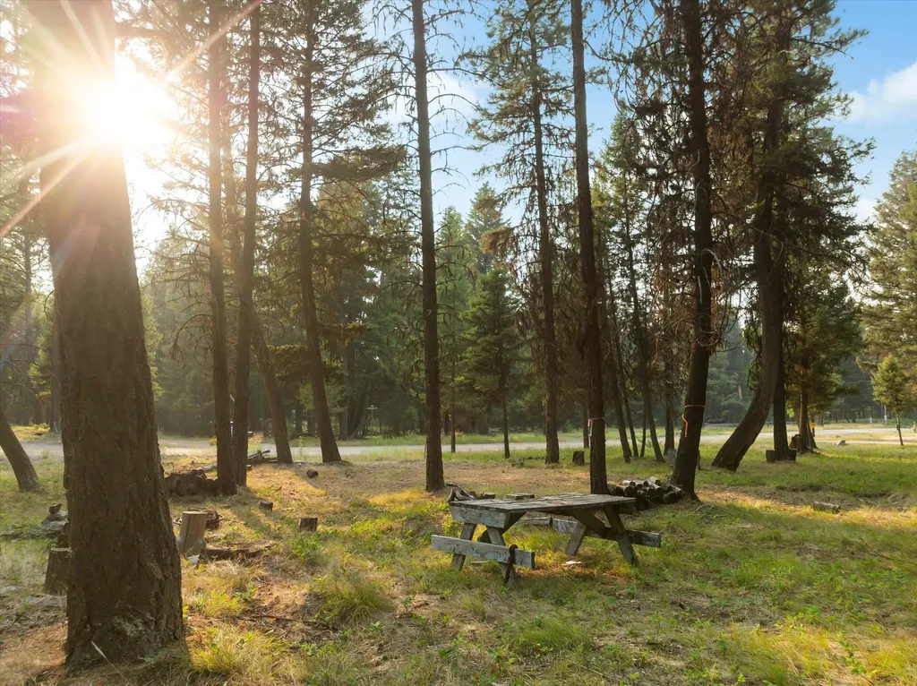 264 Evergreen Drive Seeley Lake MT 59868