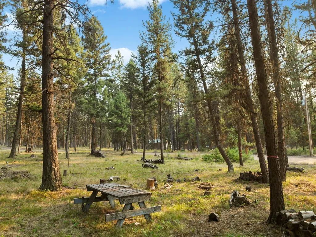 264 Evergreen Drive Seeley Lake MT 59868