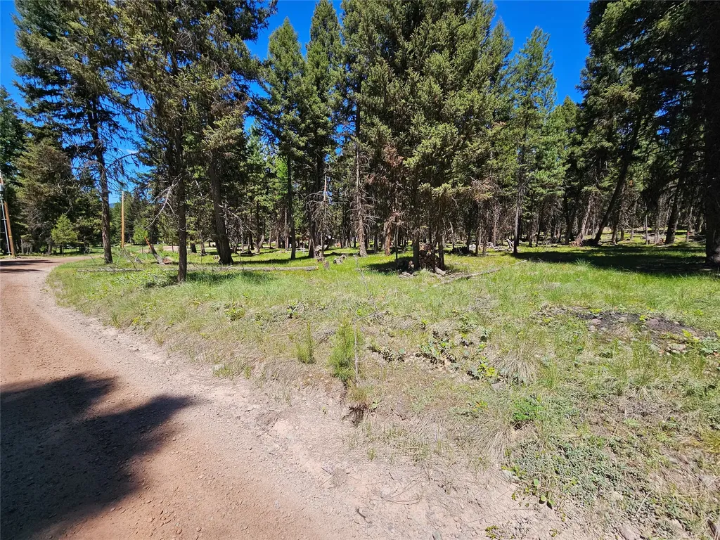 264 Evergreen Drive Seeley Lake MT 59868