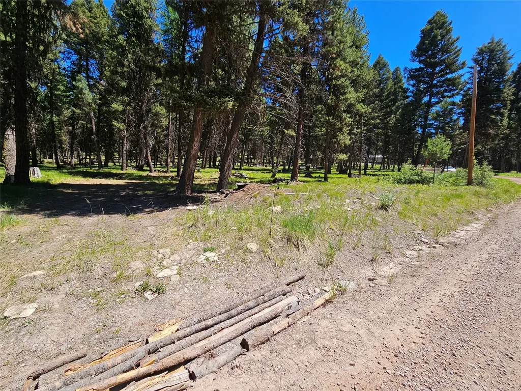 264 Evergreen Drive Seeley Lake MT 59868