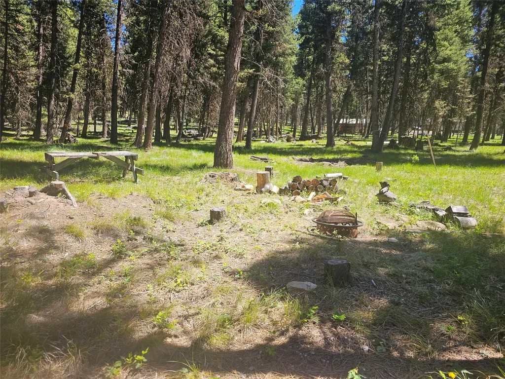 264 Evergreen Drive Seeley Lake MT 59868