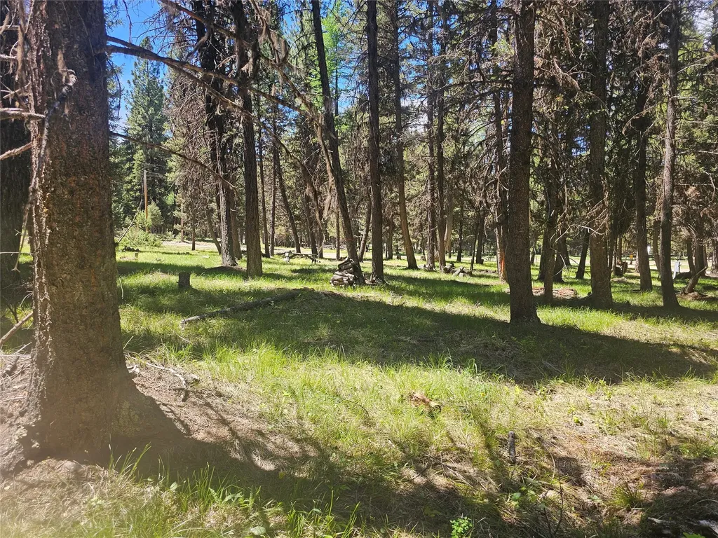 264 Evergreen Drive Seeley Lake MT 59868
