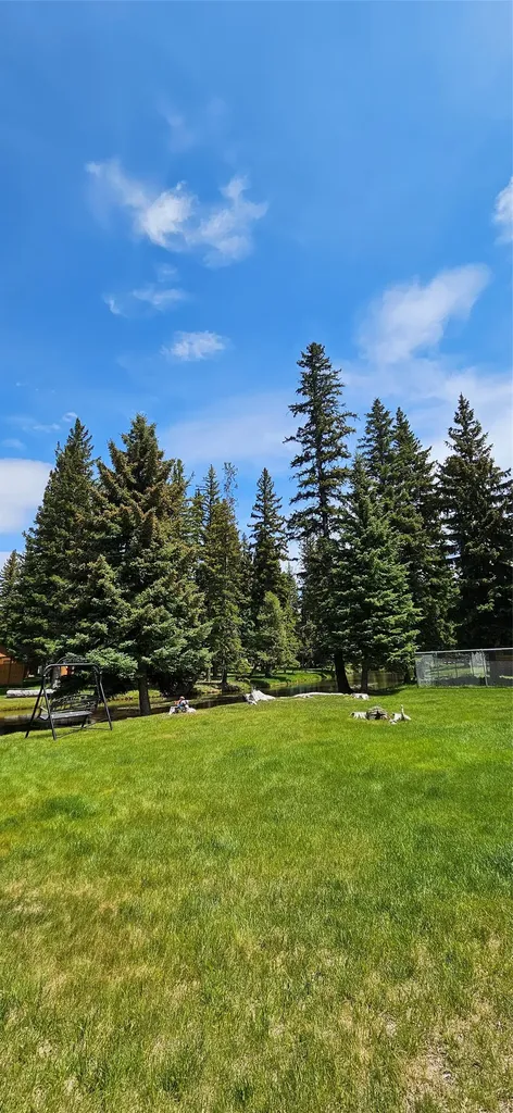 218 Hudson Lane Lincoln MT 59639