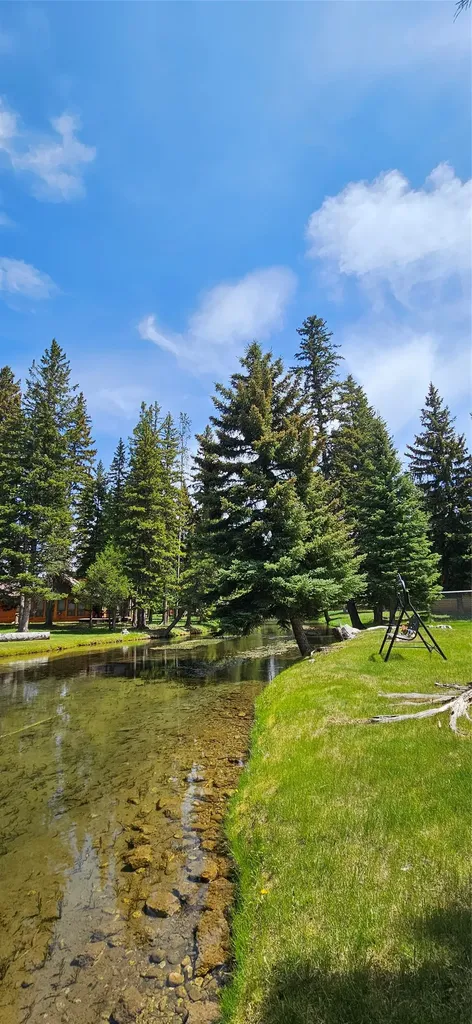 218 Hudson Lane Lincoln MT 59639