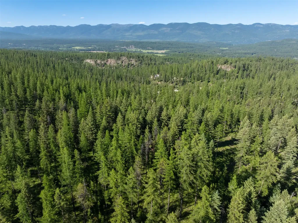 2600 Mountain Home Lot 17 Road Whitefish MT 59937