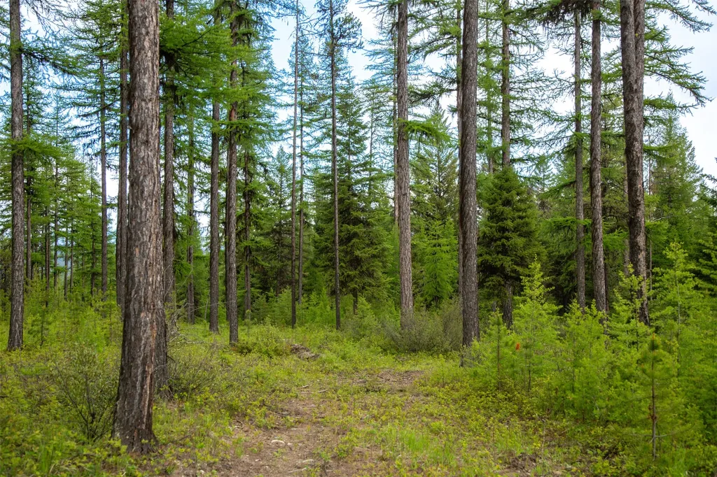 2600 Mountain Home Lot 17 Road Whitefish MT 59937