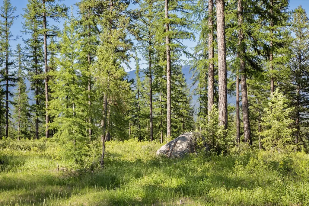 2600 Mountain Home Lot 17 Road Whitefish MT 59937