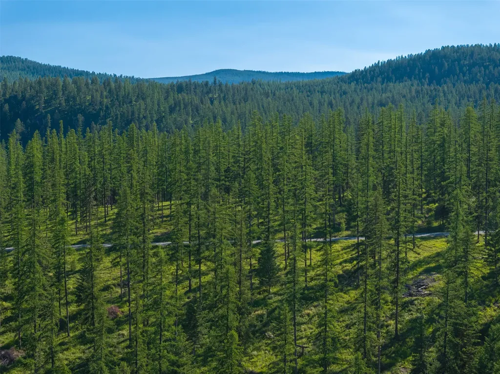 2600 Mountain Home Lot 17 Road Whitefish MT 59937